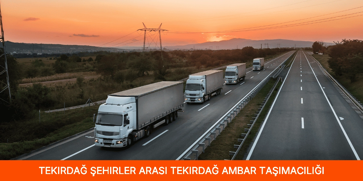 Şehirler Arası Tekirdağ Ambar Taşımacılığı